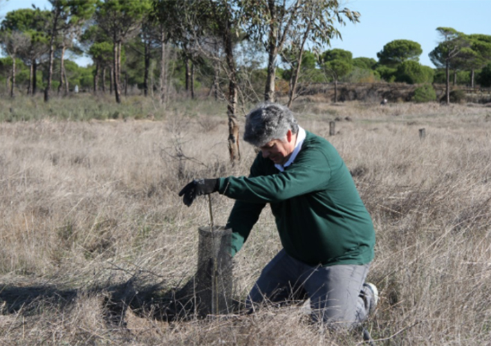 Foto Endesa, primera compañía energética en recibir el Premio PAMA de la Junta de Andalucía en la categoría de conservación, biodiversidad y desarrollo sostenible.